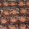 Rows of CO-001 Chocolate Decadence 1X1 Bites, each topped with swirls of chocolate frosting and decorative chocolate pieces, arranged closely together on a tray.