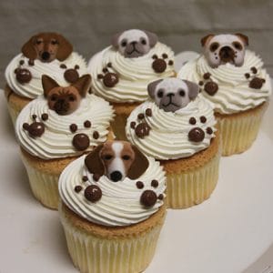 Six CC-100 Gold cupcakes with chocolate filling, topped with fondant dog faces in various breeds and expressions, and decorated with small round chocolate pieces.
